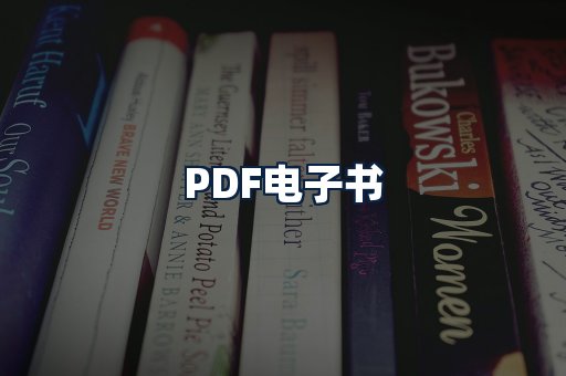 PDF电子书